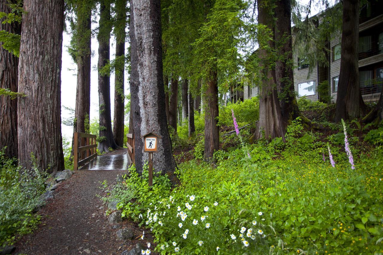 Lake Quinault Lodge Zewnętrze zdjęcie
